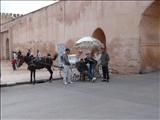 Morocco_Meknes_098