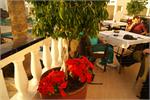 068Tenerife_2014