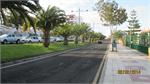 079Tenerife_2014