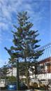 080Tenerife_2014
