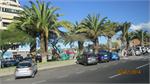 081Tenerife_2014