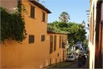 241Tenerife_2014