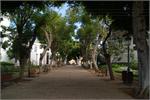 245Tenerife_2014
