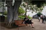 246Tenerife_2014