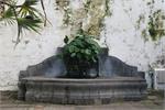 249Tenerife_2014