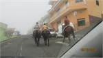 257Tenerife_2014