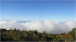 259Tenerife_2014