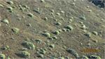 261Tenerife_2014