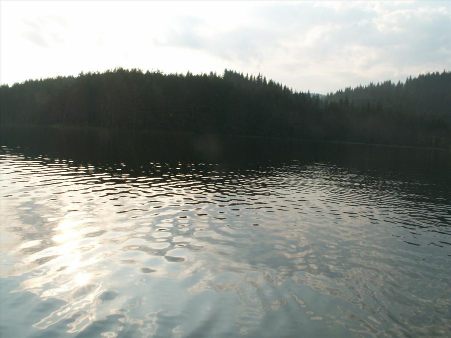 PICT4319