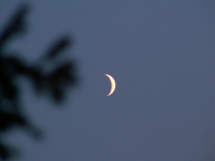 PICT4365