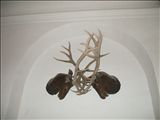 DSCF0138