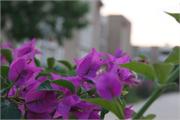 DSC09825