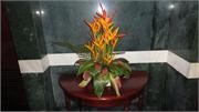 41-DSC09527