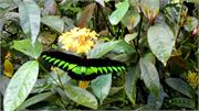 18-DSC08858