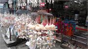 10-DSC09075