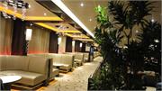 15-DSC09017