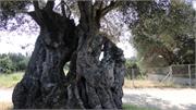 404_Lefkada_Kefalonia