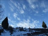 DSCF4503