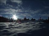 DSCF4507