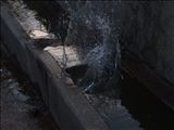 DSCF4525