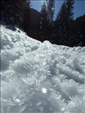 DSCF4567