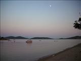 IMG_0531