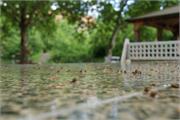 DSC07150