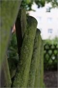 DSC07154