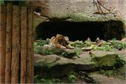 DSC07360