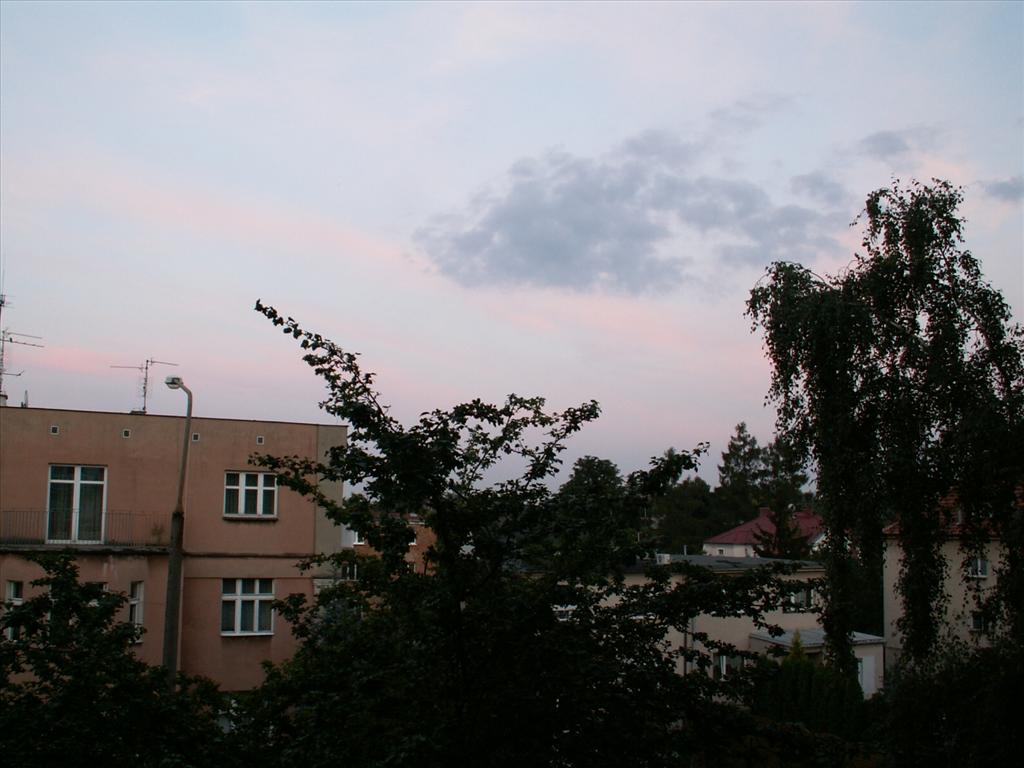 PICT7681