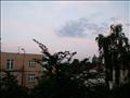 PICT7681