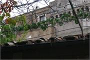DSC03156