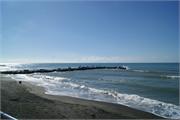 DSC03324