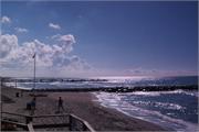 DSC03332