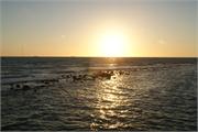 DSC03380