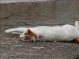 PICT2935