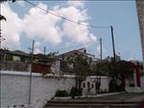 PICT2937