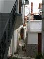 PICT2987