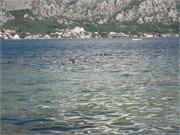 234Kotor-gulf