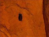 PICT9693