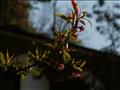 PICT6305
