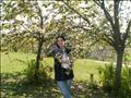 PICT6314